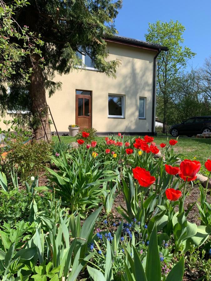 Excelent Apartment With Garden And Free Parking Ρίγα Εξωτερικό φωτογραφία